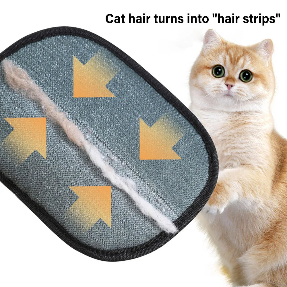 Transform Shedding Struggles into Joyful Bonding Moments